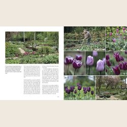 Den levende have, bog