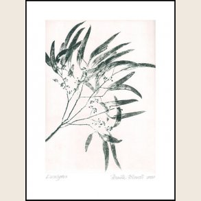 Eucalyptus 2 green 30x40 cm