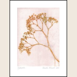 Gypso ochre 30x40 cm, print