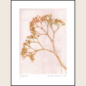 Gypso ochre 30x40 cm, print