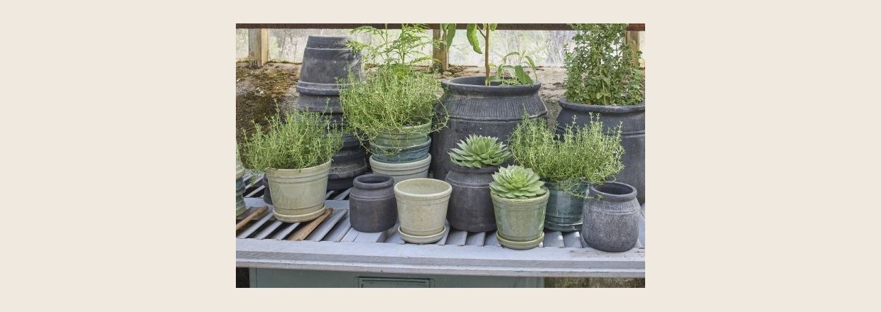 Bring for&aring;ret med indenfor