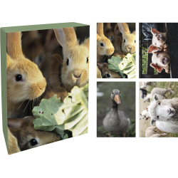 Kort med kuverter, ske med 20 stk. 