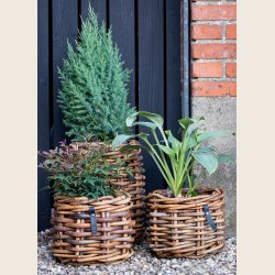 Mini rund rattankurv, low