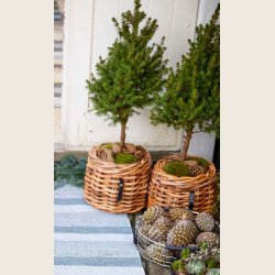 Mini rund rattankurv, low