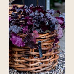 Mini rund rattankurv, low