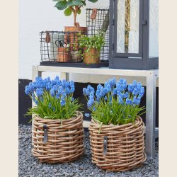 Mini rund rattankurv, low