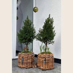 Mini rund rattankurv, low