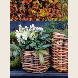 Mini rund rattankurv, low