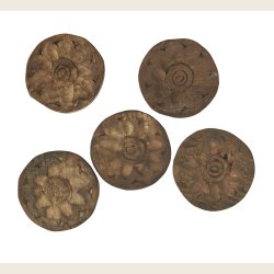 Coaster i recyclet tr