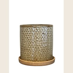 Miriam skjuler med underskl