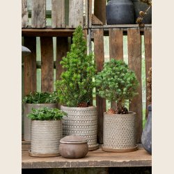 Miriam skjuler med underskl