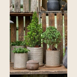 Miriam skjuler med underskl