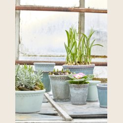 Lacepot, lav, �20 cm