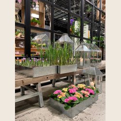 Plantebakke i galvaniseret stl