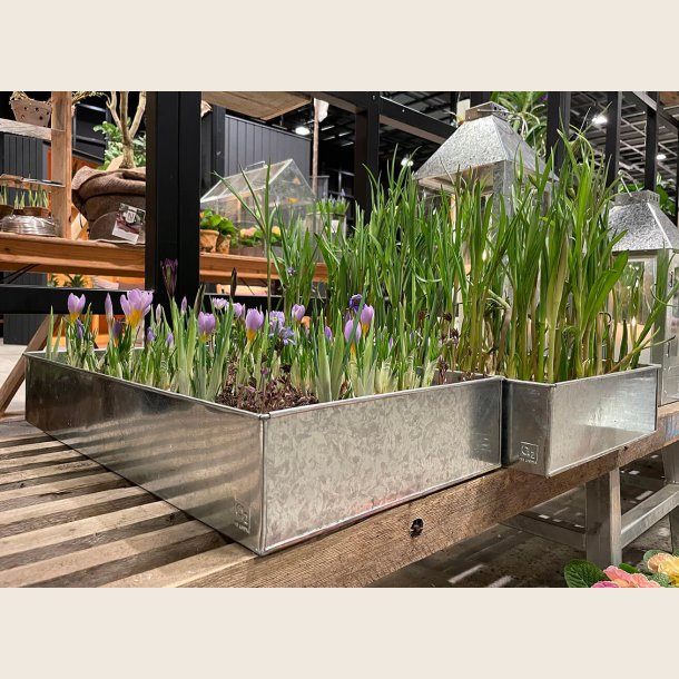 Plantebakke i galvaniseret st�l