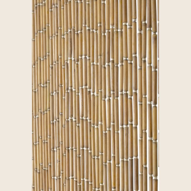 Carlista bambusgardin