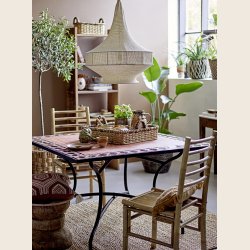 Dahlia skl med piskeris