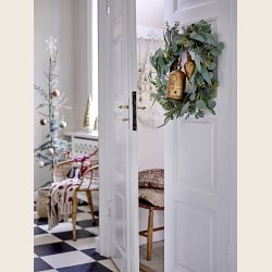 Cannes juletrsstjerne