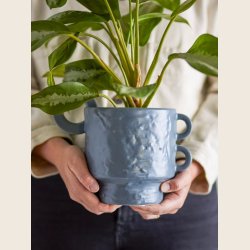 Alfine urtepotteskjuler