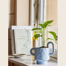 Alfine urtepotteskjuler