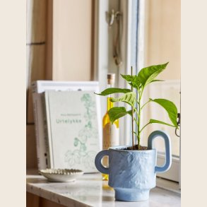 Alfine urtepotteskjuler