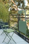 Cedar Green