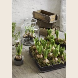 Rektangulr bakke i genanvendt metal