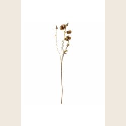 Valmue-stilk