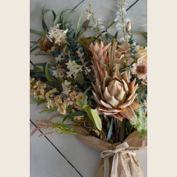 Riddersporer, creme