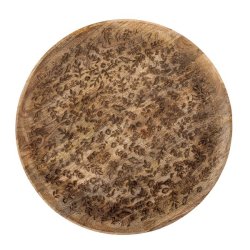 Camilia trbakke i mangotr