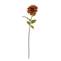 Dahlia-stilk, br�ndt orange
