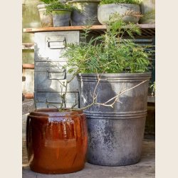 Diana krukke, sortpatineret