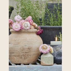 Dicte krukke, 2 str.