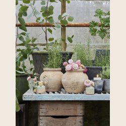 Dicte krukke, 2 str.