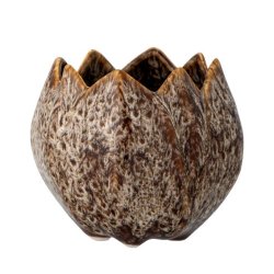 Elaya Urtepotteskjuler