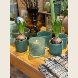 Ella fyrfadsstage i glas