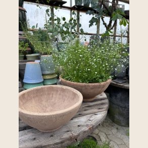 Emily krukke, Antique patina