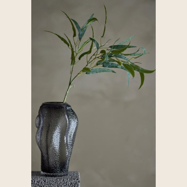 Eucalyptus, gr�n