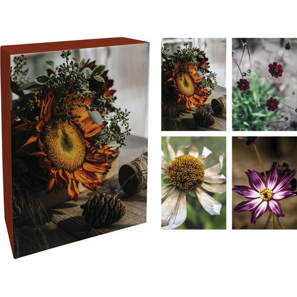 Kort med kuverter, ske med 20 stk. 