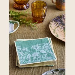 Faustino serviet, FSC