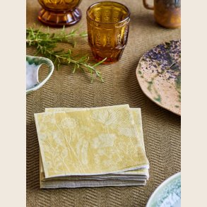 Faustino serviet, FSC