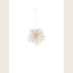 Flower papirstjerne