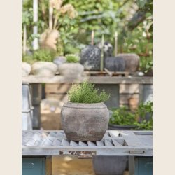 Francesca krukke, brun