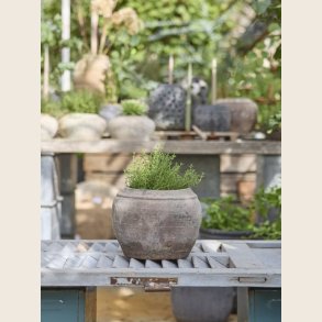 Francesca krukke, brun