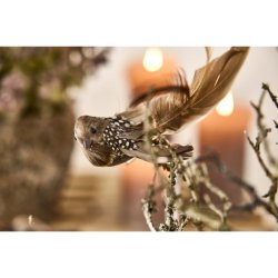 Fugle p clips, 3 stk.