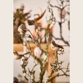 Fugle p clips, 3 stk.