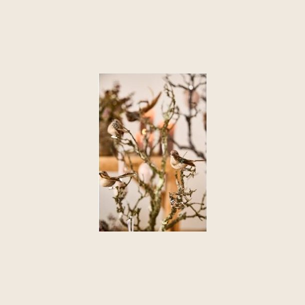 Fugle p clips, 3 stk.