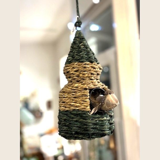 Fuglehus i flet, gr�n spids