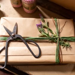 Raffia opbindingssnor, 3 farver