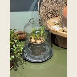 Malou glasklokke, 2 str. 